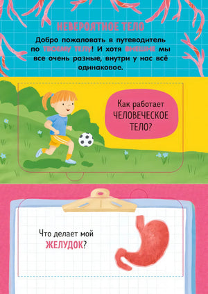 Как устроено тело человека. И другие интересные вопросы null - 4
