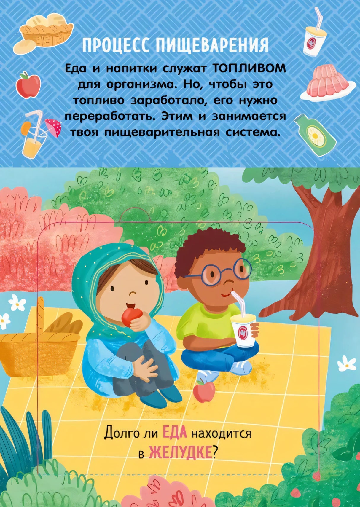 Как устроено тело человека. И другие интересные вопросы 9785002117826