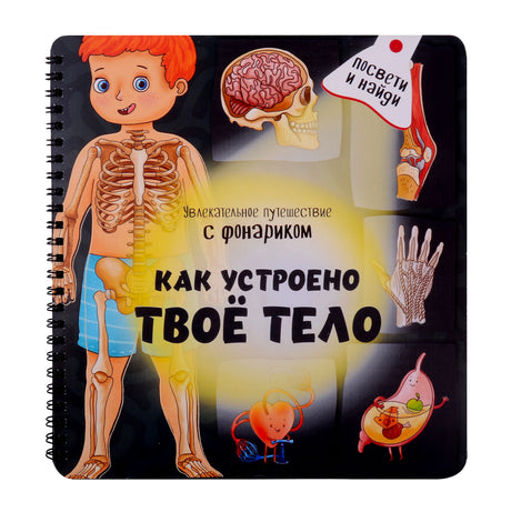 Лицевая обложка книги «Как устроено твоё тело» с анатомическими иллюстрациями.