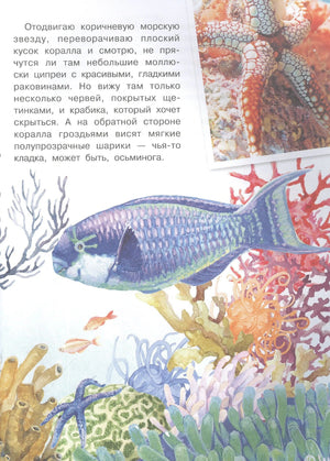 Страница с текстом, фото осьминога и рисунком синей рыбы среди кораллов