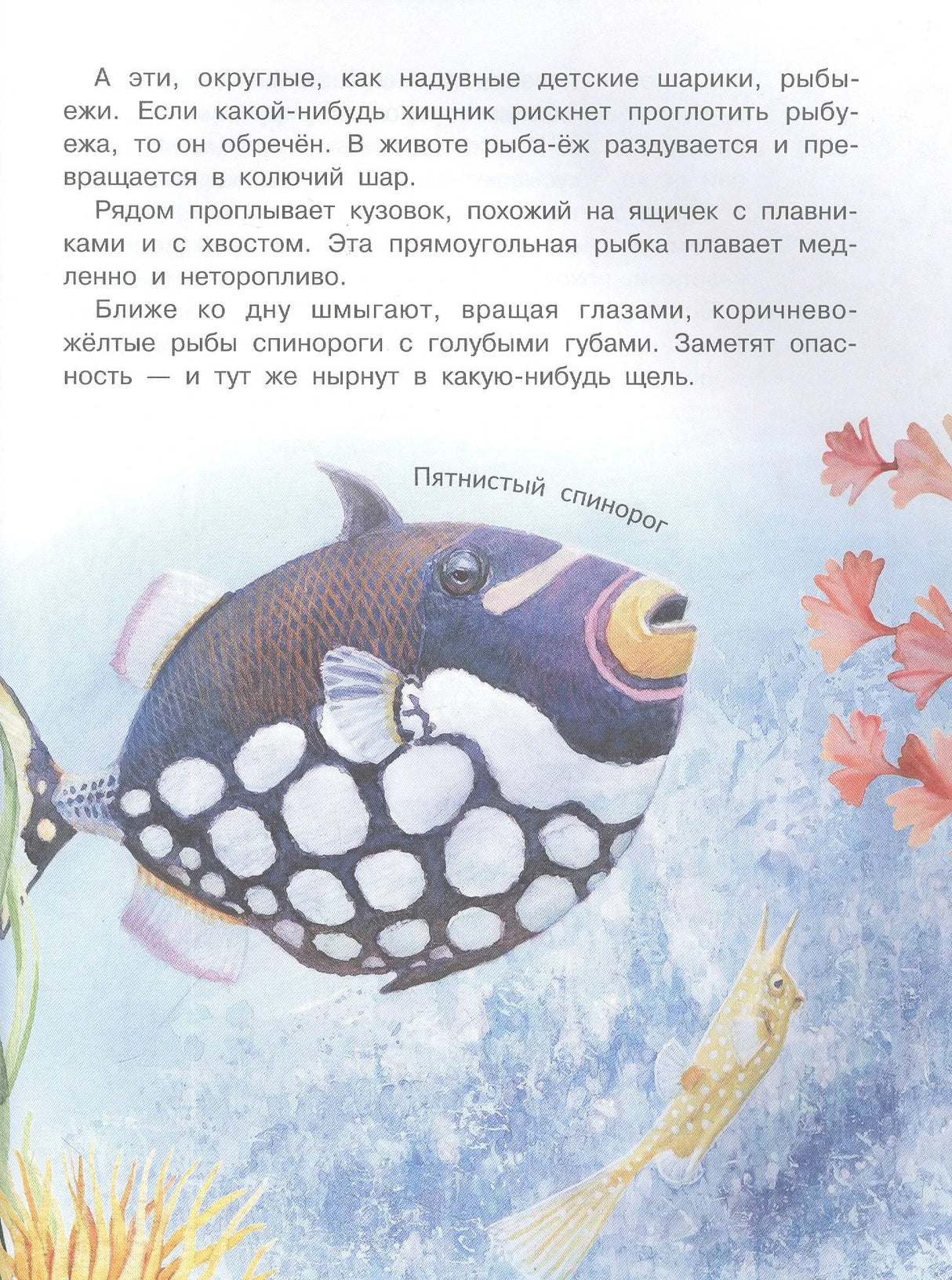 Страница с текстом и рисунком пятнистого спинорога и маленькой жёлтой рыбы