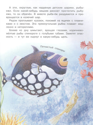Страница с текстом и рисунком пятнистого спинорога и маленькой жёлтой рыбы