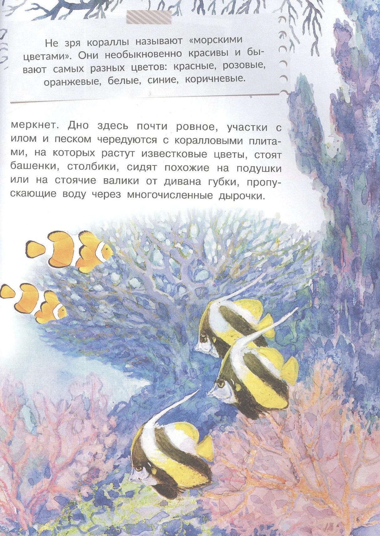 Страница с текстом о кораллах и рисунками рыб у кораллового рифа