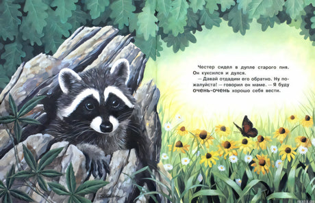 Иллюстрация из книги "Кармашек, полный поцелуев": енотик Честер в дупле