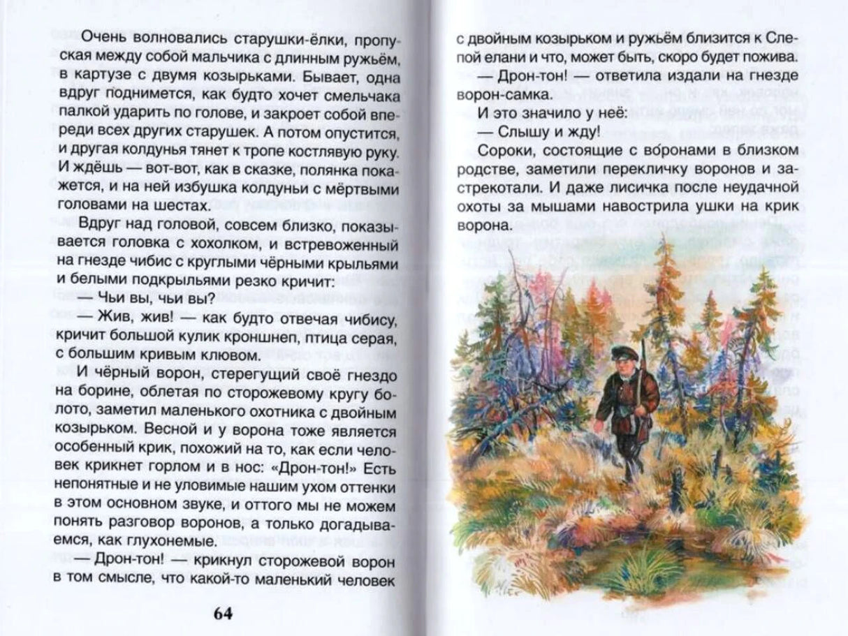 Разворот страниц 64–65 с текстом и цветной иллюстрацией лесной сцены.