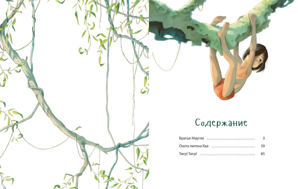 Книга джунглей. История Маугли 978-5-00198-157-2 - 6