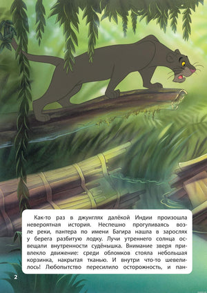 Иллюстрация из книги "Книга джунглей. История Маугли" Disney: пантера Багира