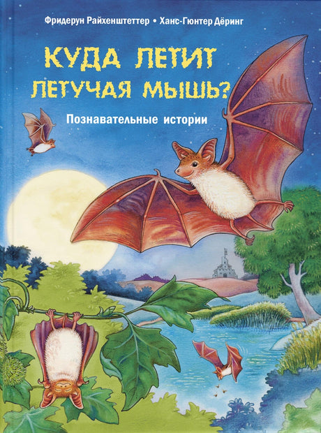 Обложка книги "Куда летит летучая мышь?"