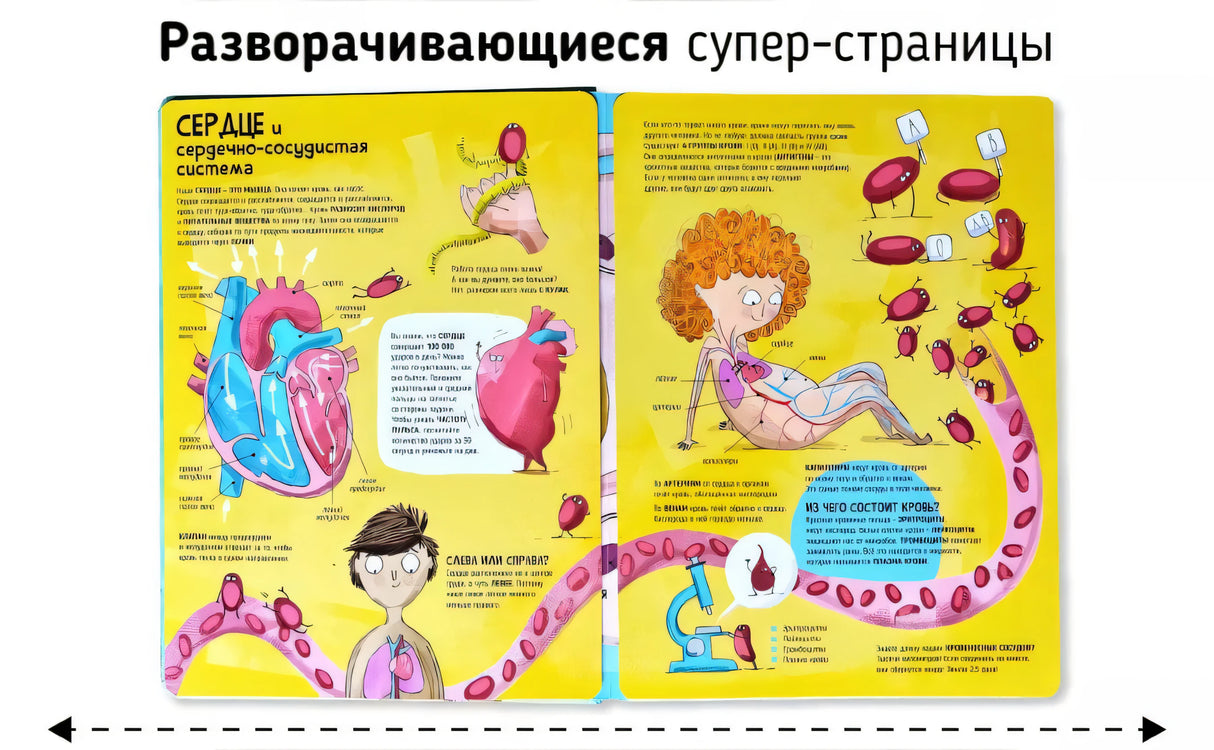 Книга. Мои первые открытия– Человеческое тело null - 3