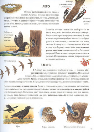 Книга о птицах. BIObook А. Толмачёва 978-5-00116-691-7 - 4