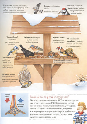 Книга о птицах. BIObook А. Толмачёва 978-5-00116-691-7 - 2