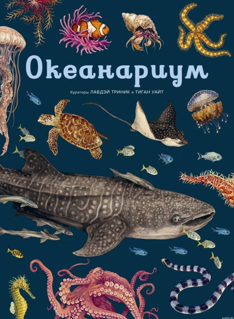 Обложка книги «Океанариум»