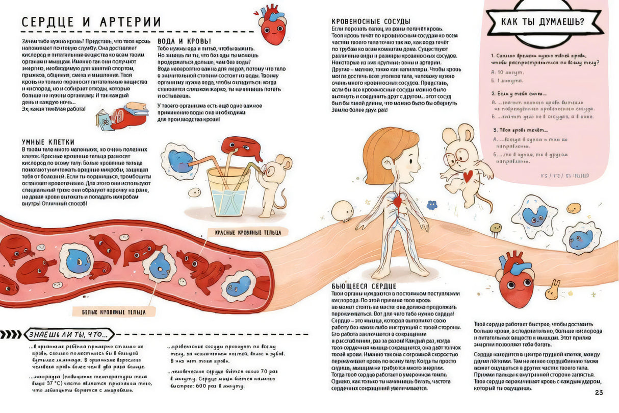 Книга с секретами. Секреты тела человека 978-5-4366-0929-4 - 3
