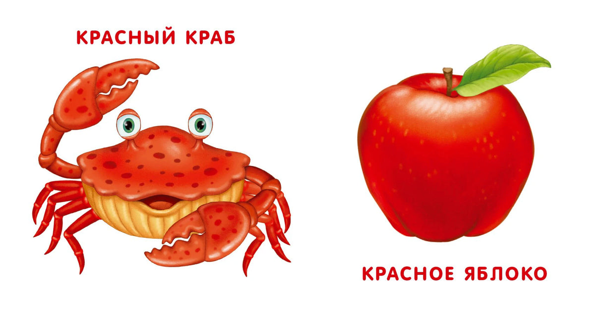 Книжки-картонки. Мои первые цвета. Стихи и картинки 9785436605111
