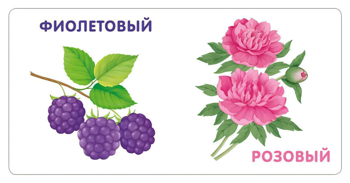 Книжки - картонки.  Цвета в природе 978-5-4366-0555-5 - 3