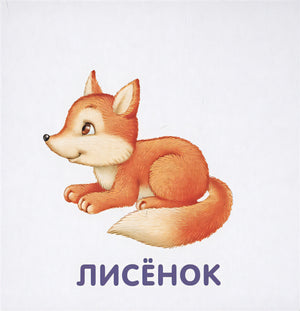 Книжки-картонки. Животные и детеныши 978-5-4366-0556-2 - 1