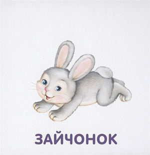 Книжки-картонки. Животные и детеныши 978-5-4366-0556-2 - 3