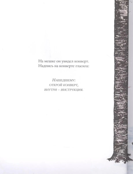 Когда я вырасту, я буду Дедом Морозом 978-5-00167-117-6 - 3