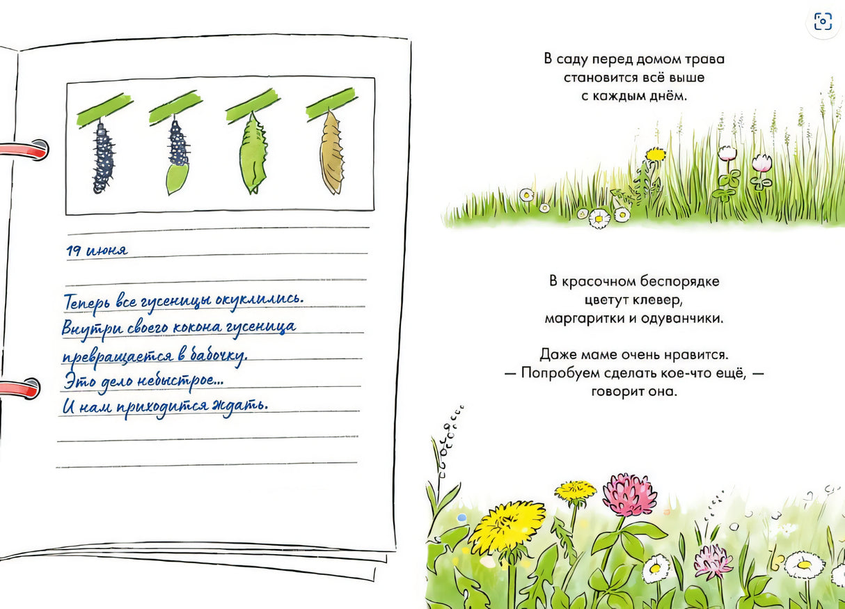 Комиксы с Конни. Дневник гусеницы 978-5-9614-8496-0 - 3
