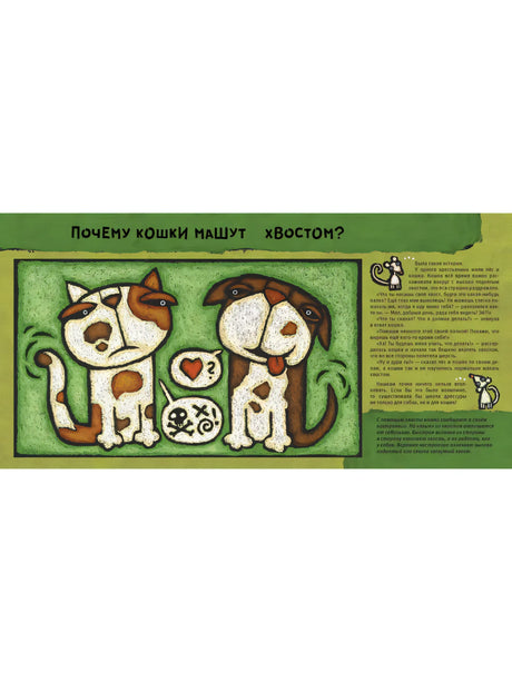 Кошачьи "почему"