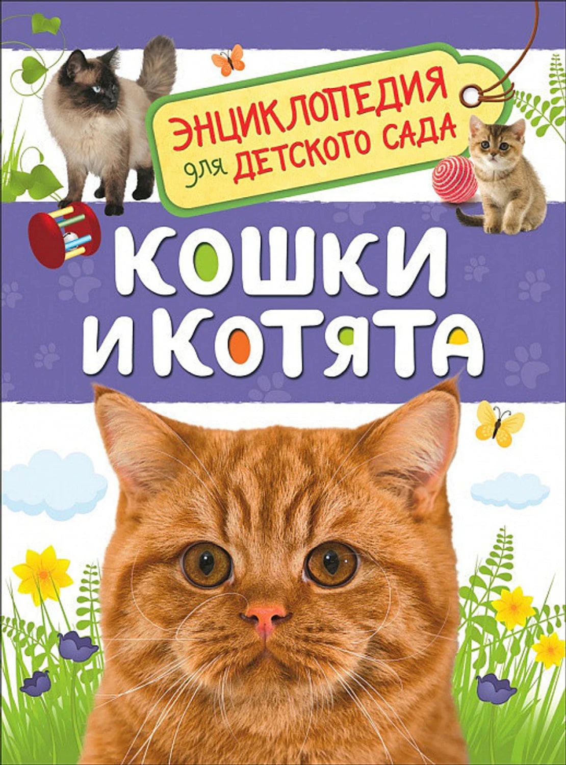 Кошки и котята