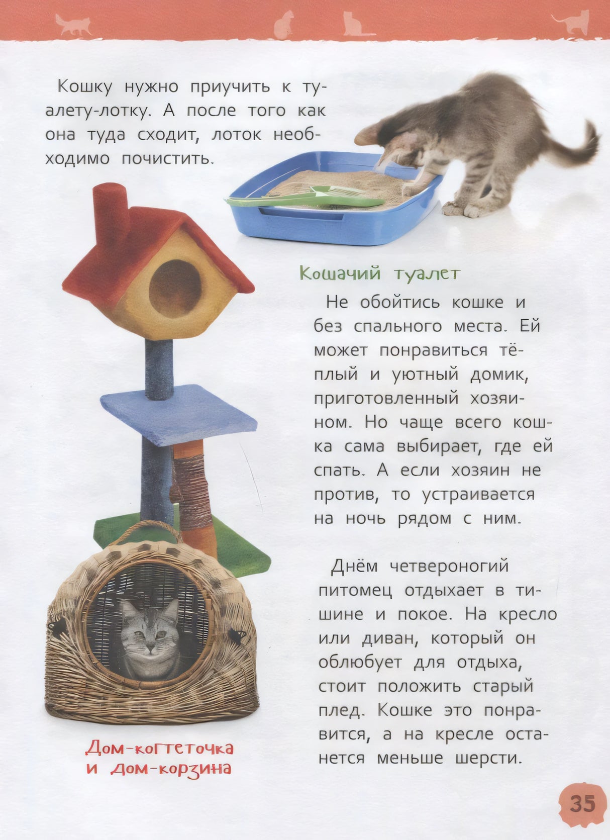 Страница 35: домик-когтеточка, лоток и сон кошки