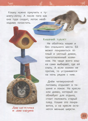 Страница 35: домик-когтеточка, лоток и сон кошки