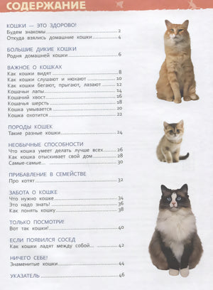 Содержание книги «Кошки и котята»