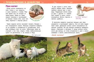 Разворот «Прибавление в семействе. Про котят»