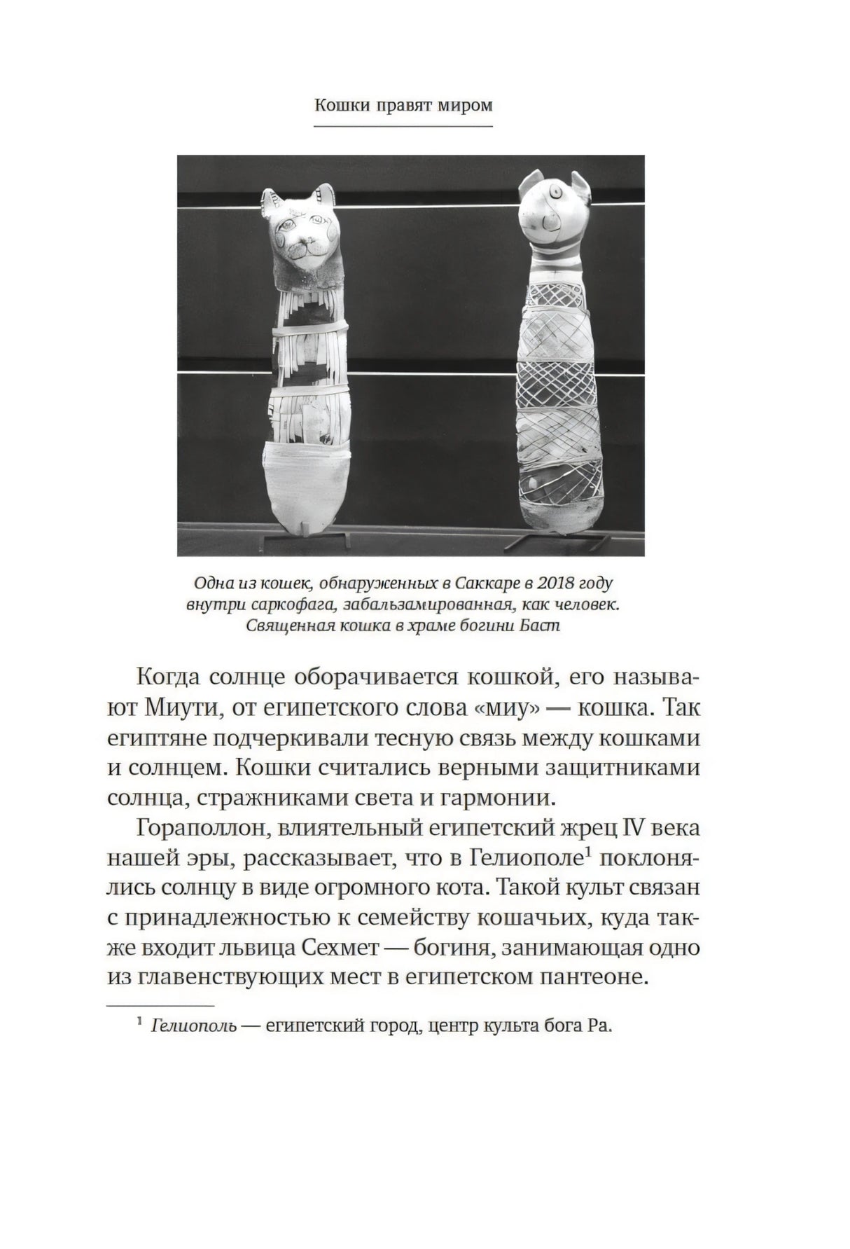 Страница 9 с фото мумий кошек и текстом