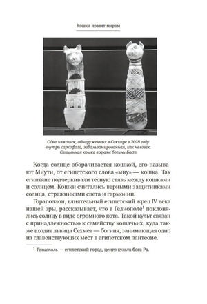 Страница 9 с фото мумий кошек и текстом