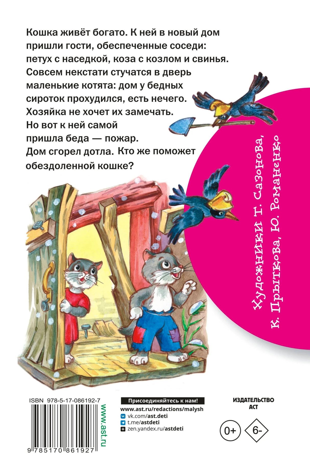 Задняя обложка с аннотацией и котятами у сгоревшего дома