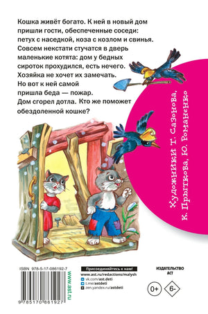 Задняя обложка с аннотацией и котятами у сгоревшего дома