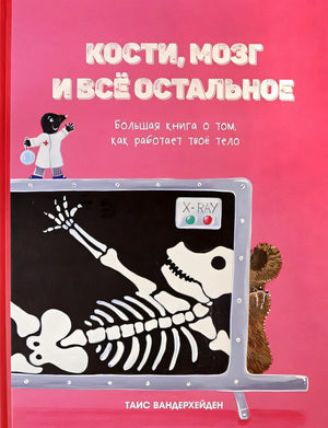 Обложка Кости, мозг и все остальное. Большая книга о том, как работает твое тело 978-985-15-4906-7