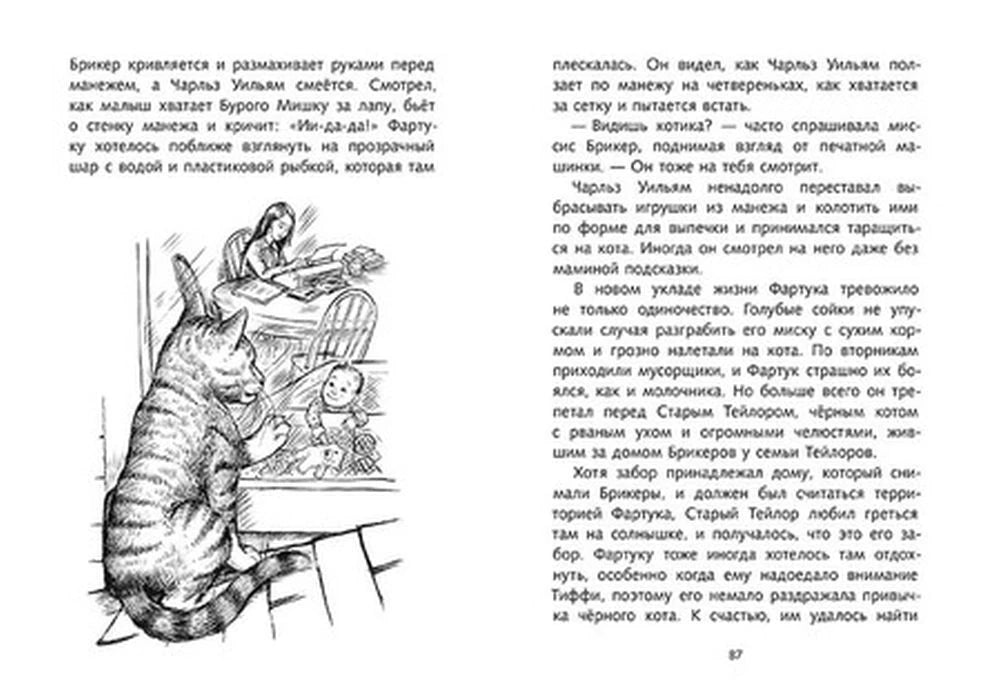 Разворот с текстом и рисунком кота у полки с игрушками.