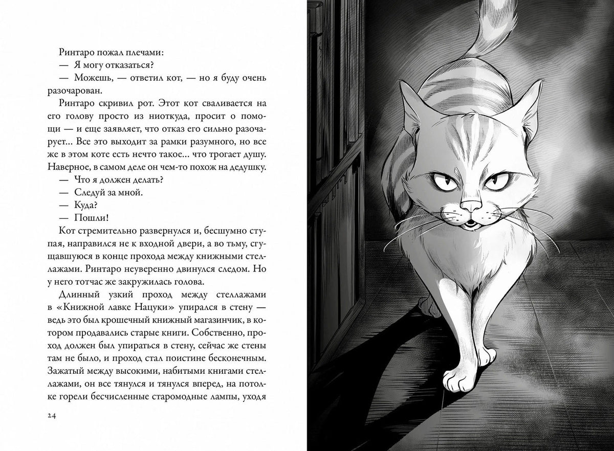 Разворот с текстом и иллюстрацией кота в книжном проходе