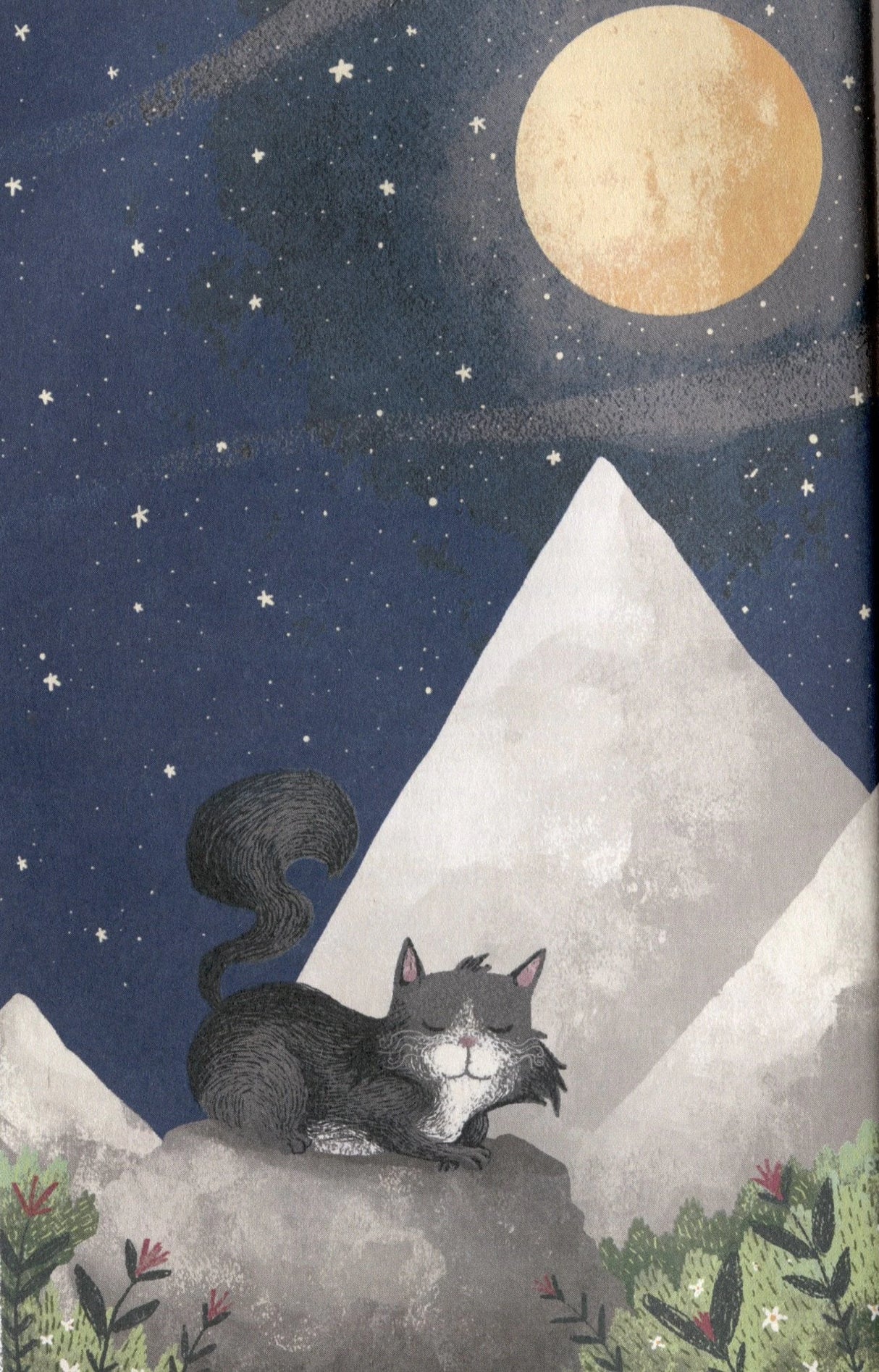 Кот, покоривший вершину 978-5-222-41854-3 - 2