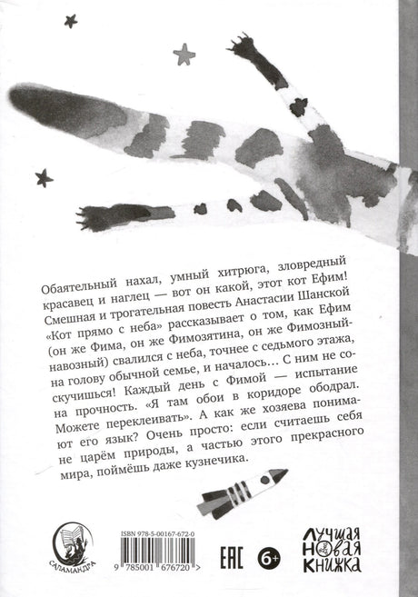 Кот прямо с неба 978-5-00167-672-0 - 1