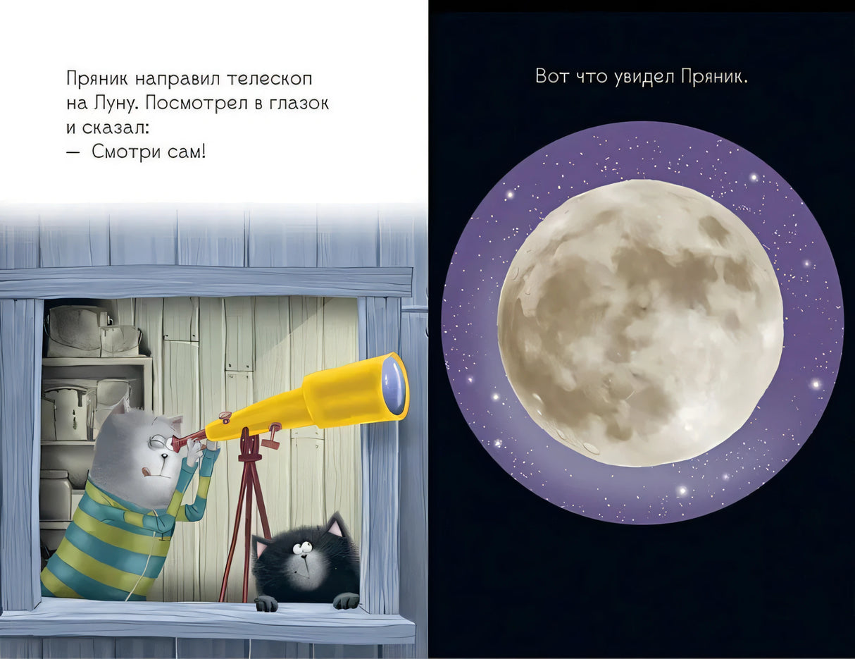 Котенок Шмяк и лунный кот 978-5-00211-540-2 - 0
