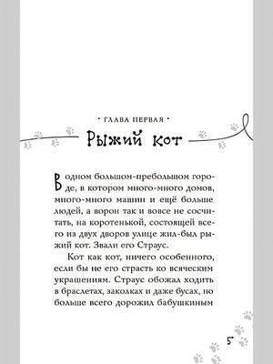 Котлетное расследование кота Страуса (Новое оформление) 978-5-907728-39-4 - 1