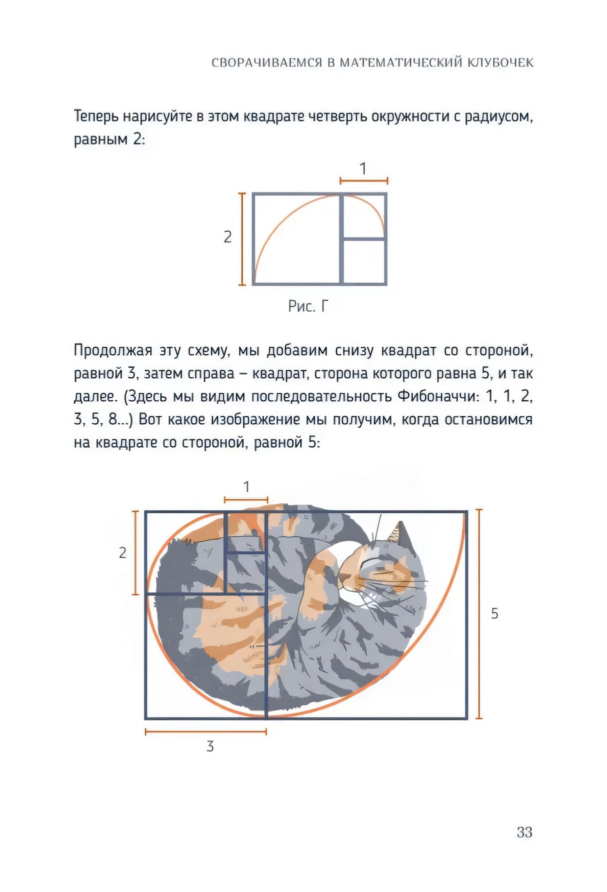 Страница 33: кошка в сетке и спираль Фибоначчи