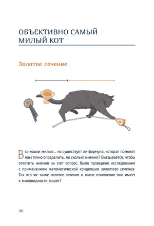 Страница 36: глава «Золотое сечение» с рисунком кота