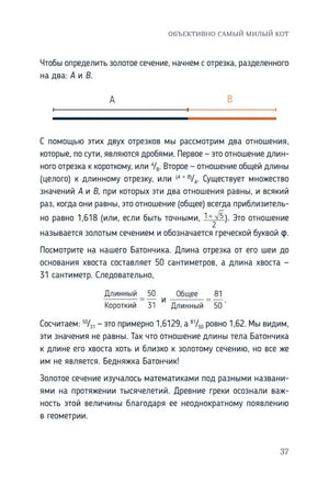 Страница 37: расчёт золотого сечения на примере кота
