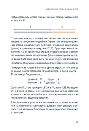 Страница 37: расчёт золотого сечения на примере кота