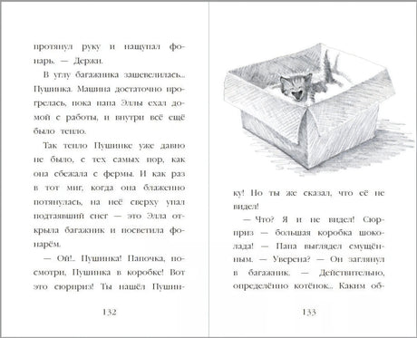 Котёнок Пушинка, или Рождественское чудо 3337942379329, 978-5-04-172899-1, 9000079423794 - 6