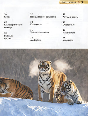 Красная книга. Детская энциклопедия 978-5-353-10292-2 - 6
