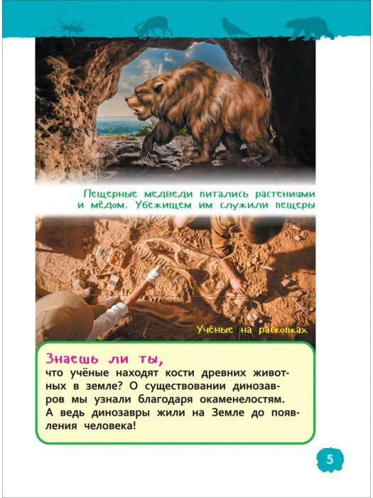 Страница 5 о пещерных медведях и раскопках древних животных