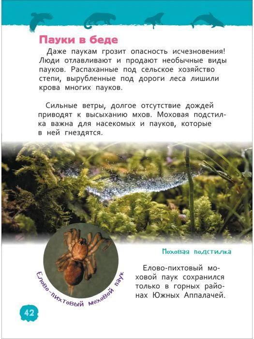 Страница 42 о пауках и моховой подстилке