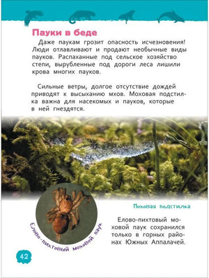 Страница 42 о пауках и моховой подстилке