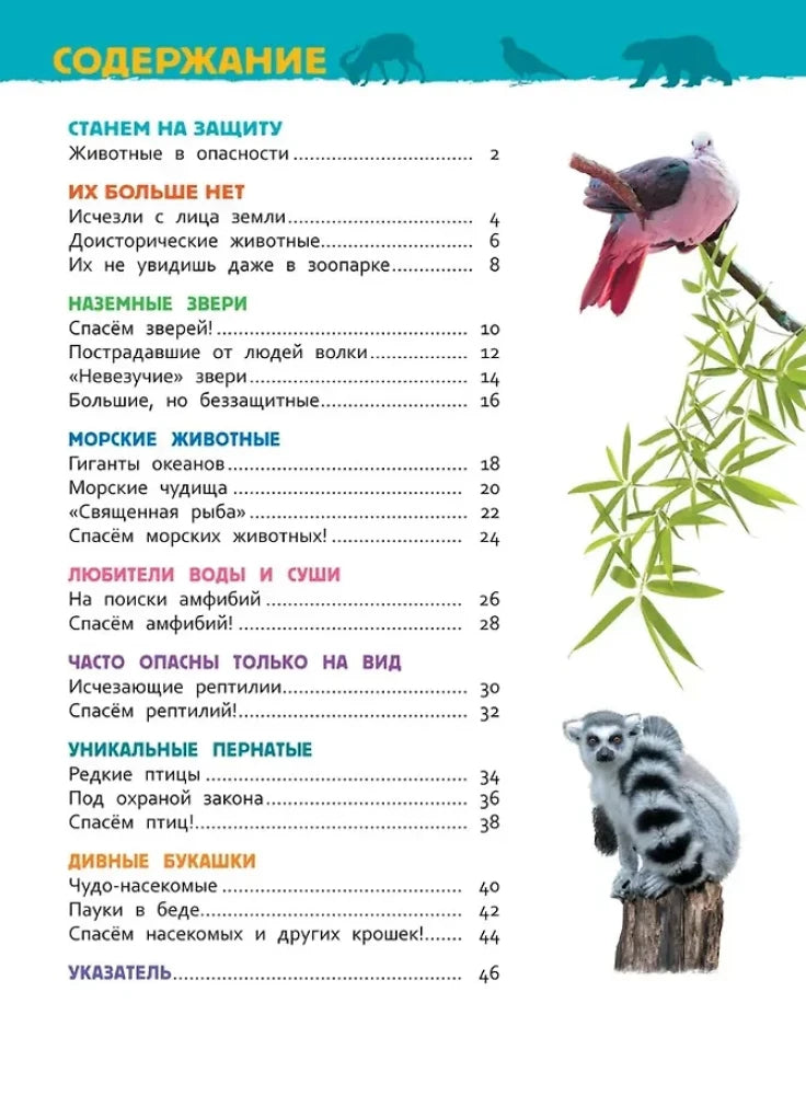 Страница содержания с разделами книги, попугаем и лемуром